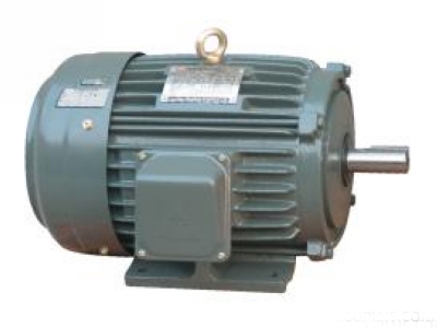 東元?jiǎng)x車(chē)電機(jī)